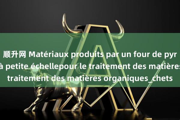 顺升网 Matériaux produits par un four de pyrolyse magnétique à petite échellepour le traitement des matières organiques_chets