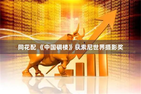 同花配 《中国碉楼》获索尼世界摄影奖