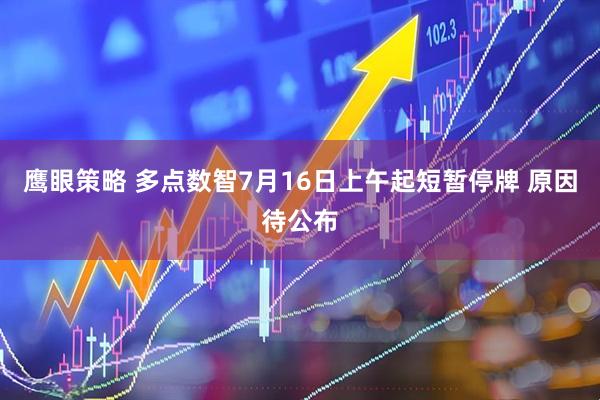 鹰眼策略 多点数智7月16日上午起短暂停牌 原因待公布