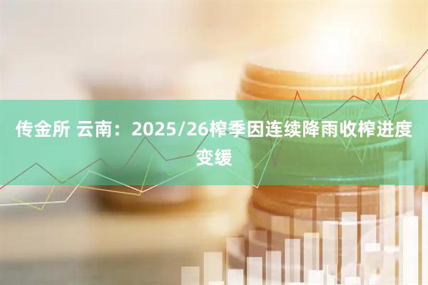 传金所 云南：2025/26榨季因连续降雨收榨进度变缓