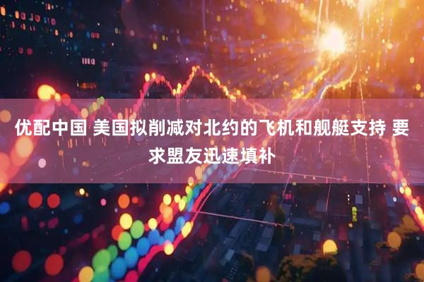 优配中国 美国拟削减对北约的飞机和舰艇支持 要求盟友迅速填补