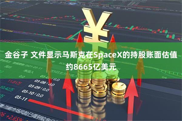 金谷子 文件显示马斯克在SpaceX的持股账面估值约8665亿美元