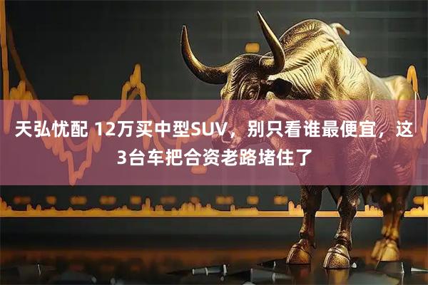 天弘忧配 12万买中型SUV,别只看谁最便宜,这3台车把合资老路堵住了