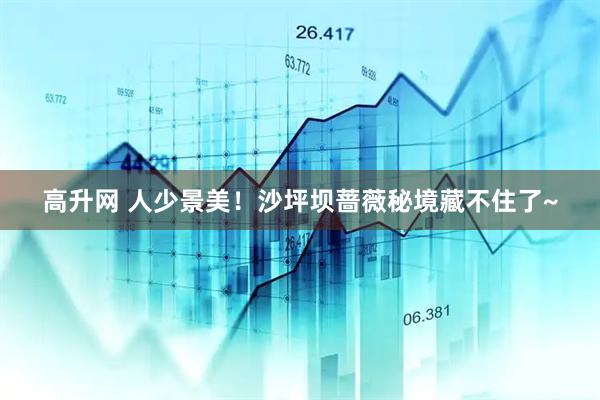 高升网 人少景美！沙坪坝蔷薇秘境藏不住了~