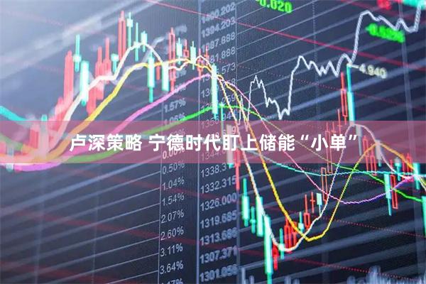 卢深策略 宁德时代盯上储能“小单”